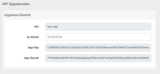 API Uygulama Detayları